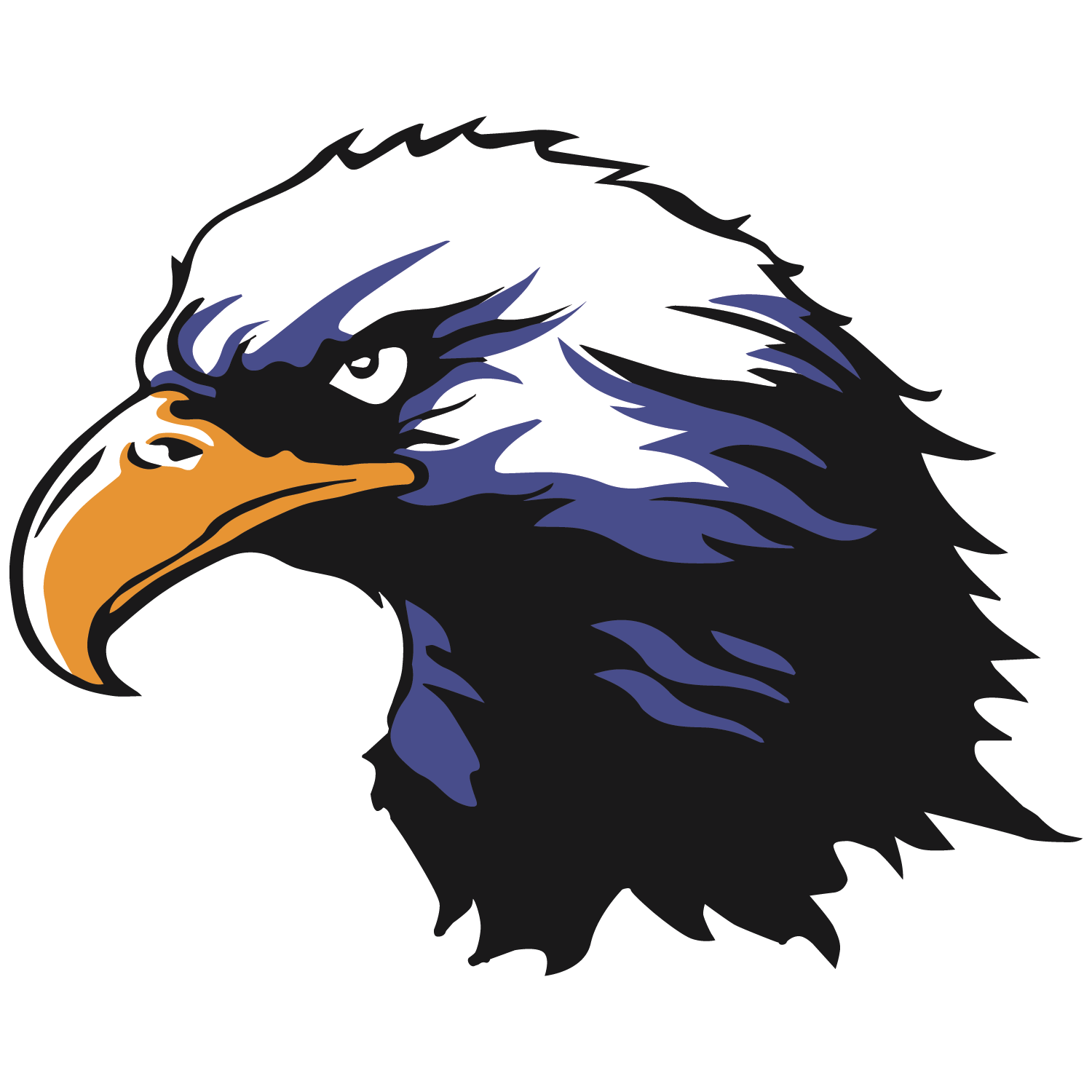 East View Eagle with a orange beak, purple and black streaks. 